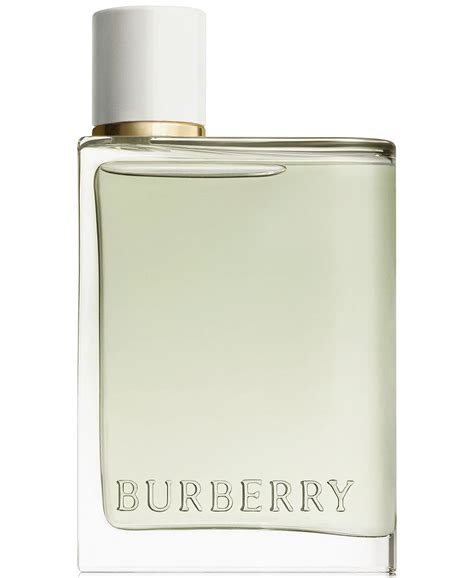 mr burberry edt winter|Burberry her eau toilette 2022.